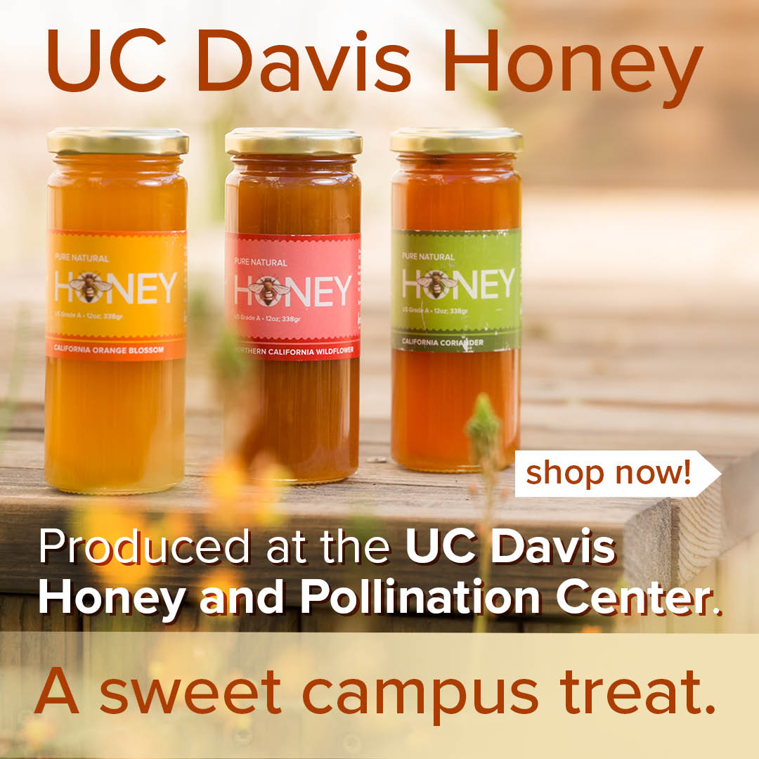UC Davis Natural Honey