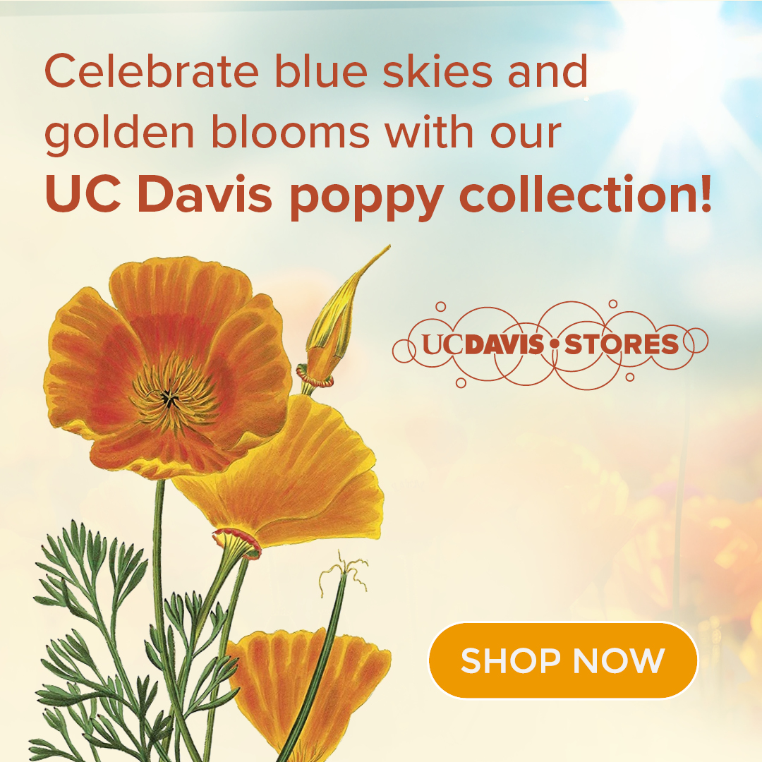 Celebrate blue skies and golden blooms with out UC Davis poppy collection!