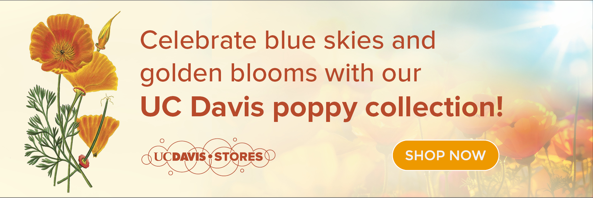 Celebrate blue skies and golden blooms with out UC Davis poppy collection!